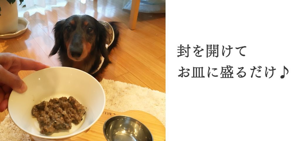 封を開けてお皿に、盛るだけ